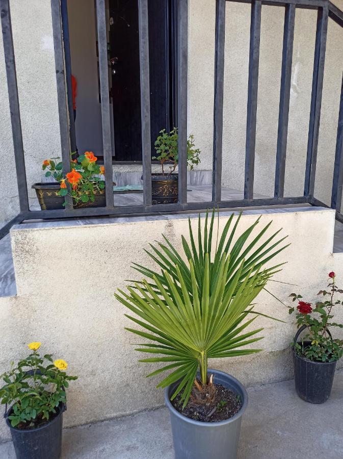 House B&B Mestia Exterior foto