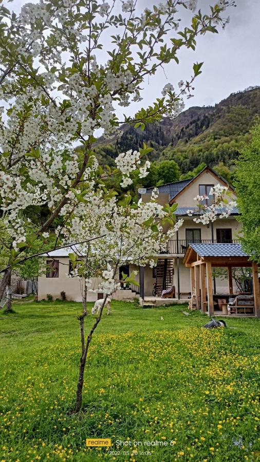 House B&B Mestia Exterior foto