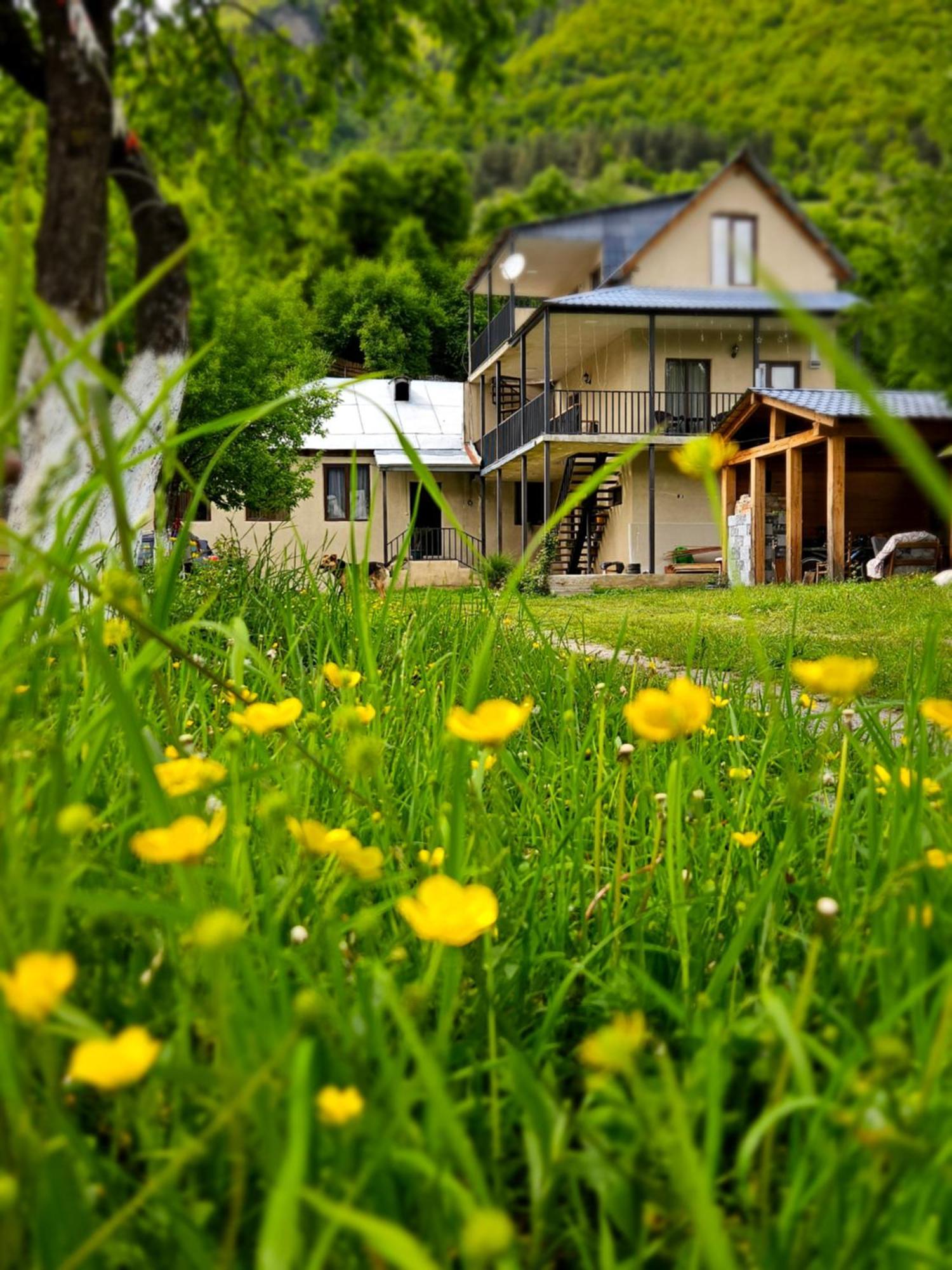 House B&B Mestia Exterior foto